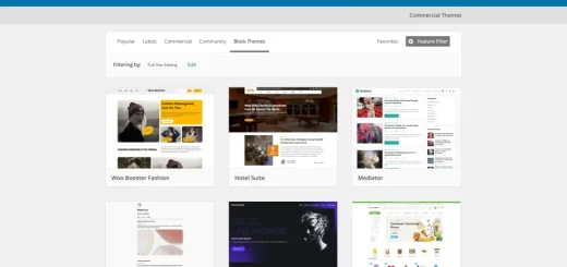 Dove Trovare Template WordPress Gratis